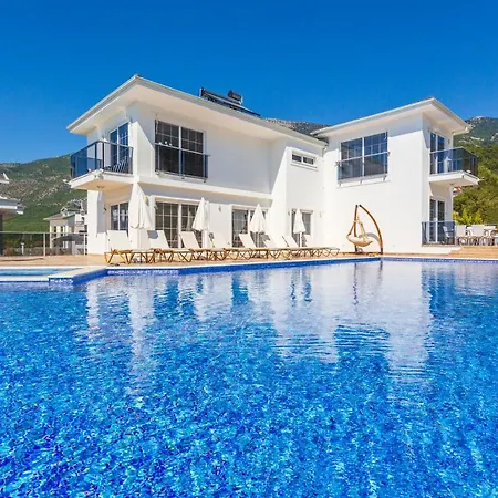 Vila Babadag