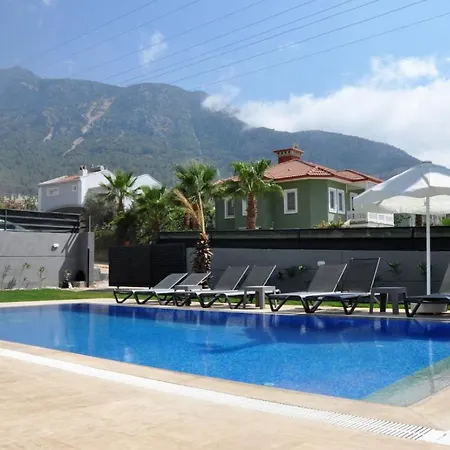 Villa Babadag *